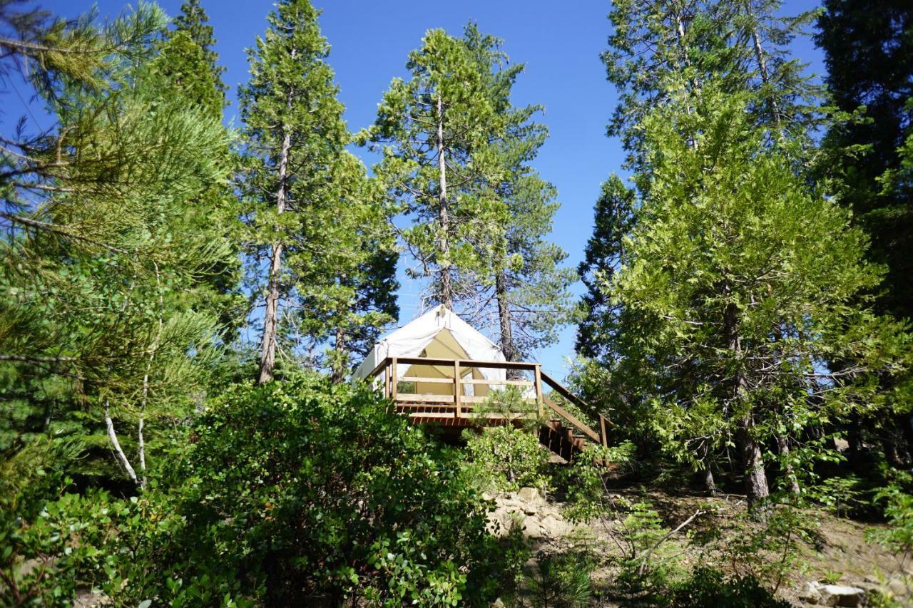 Shaver Lake Village Hotel 외부 사진